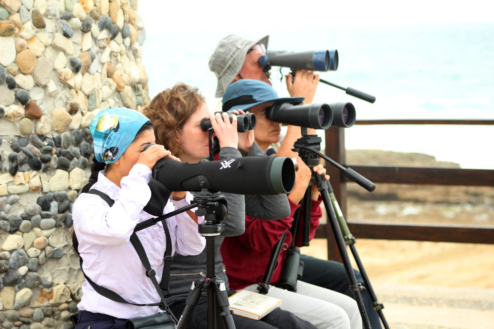 Observing and Watching birds on the Ecuador coast of the Pacific Ocean